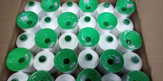 Fuoco resistente ad alta resistenza al calore 210D/3 filo da cucire con 100% di filato di poliestere