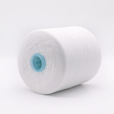 Bianco 1,25 kg 40/2 20/3 30/3 100% filato di poliestere spunto per OEM in disegno bianco grezzo