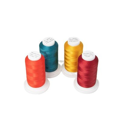 Poliestere / viscosa 120d/2 filo multicolore per la macchina di ricamo campione inviare 30g