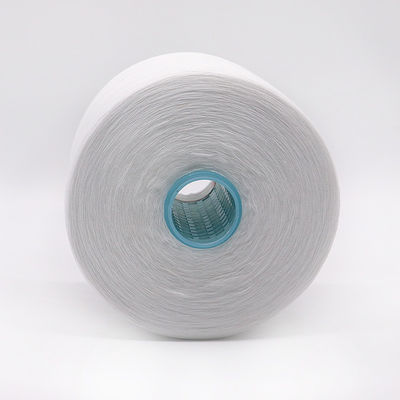 OEM 40/2 20/3 30/3 100% filato di poliestere spunto con resistenza chimica e disegno bianco grezzo