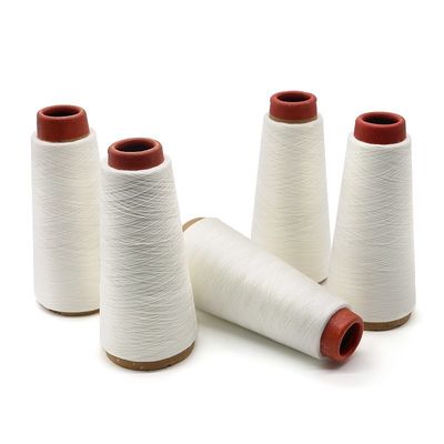 100% poliestere 40s/2 20 gradi filo di filato Pva idrosolubile per cucire maglia Pva