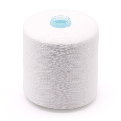 100% filato di poliestere da OEM 20/2 30/2 40/2 50/3 per 100-500g