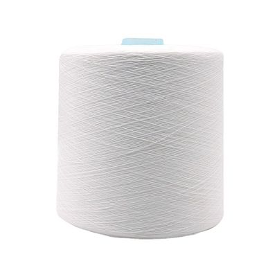 100% filato di poliestere da OEM 20/2 30/2 40/2 50/3 per 100-500g