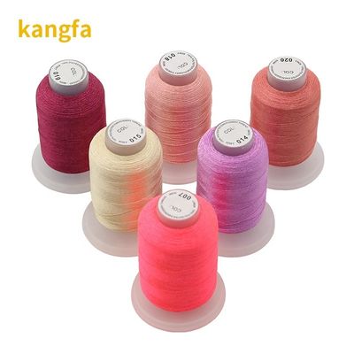 40 colori 100% poliestere ricamo filato set kit 120d/2 500m per cucitura Quilting