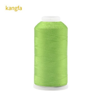 120g Peso netto 120D/2 Alta resistenza al colore Fiducia al colore Filato ricamato in poliestere per spot