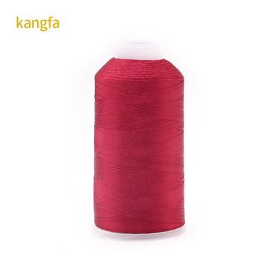 120g Peso netto 120D/2 Alta resistenza al colore Fiducia al colore Filato ricamato in poliestere per spot