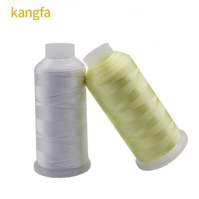 5000Y Lunghezza 120D/2 120g Macchina da cucire 100% filo ricamo in poliestere per gingko